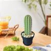 Funny Toothpick Dispenser 117 Holes Easy Access Toothpick Holder Dispenser for People Who Can't Keep Plants Alive Decor